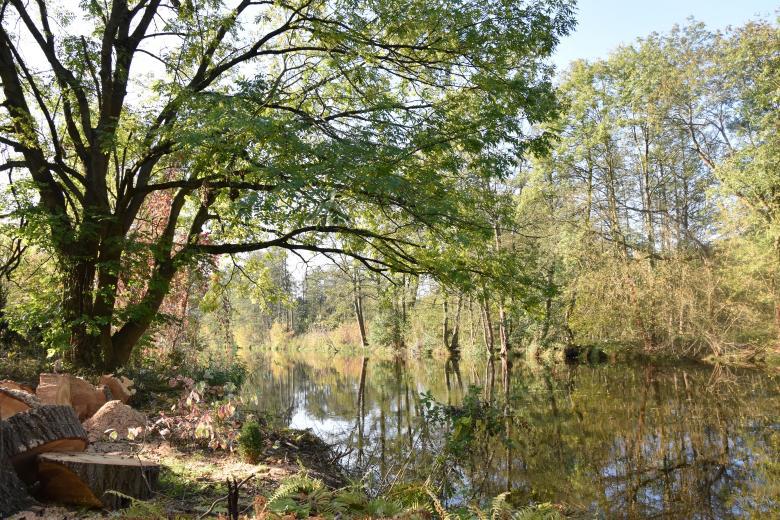 Kerstin Wüstenhöfer-Loges, Fotografie, “Havel“, 2017