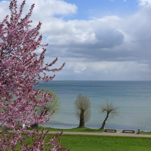 Kerstin Wüstenhöfer-Loges, Fotografie, “Frühling“
