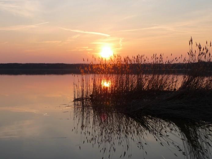 Kerstin Wüstenhöfer-Loges, Fotografie, “Abendschilf 3“, 2009