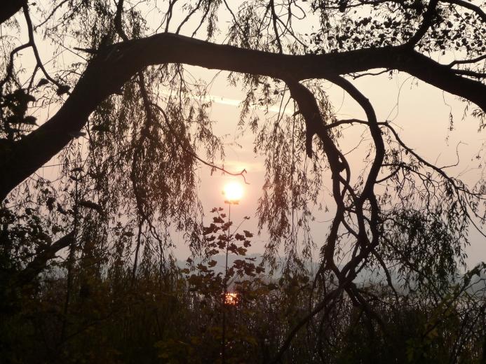 Kerstin Wüstenhöfer-Loges, Fotografie, “Herbstsee“, 2011