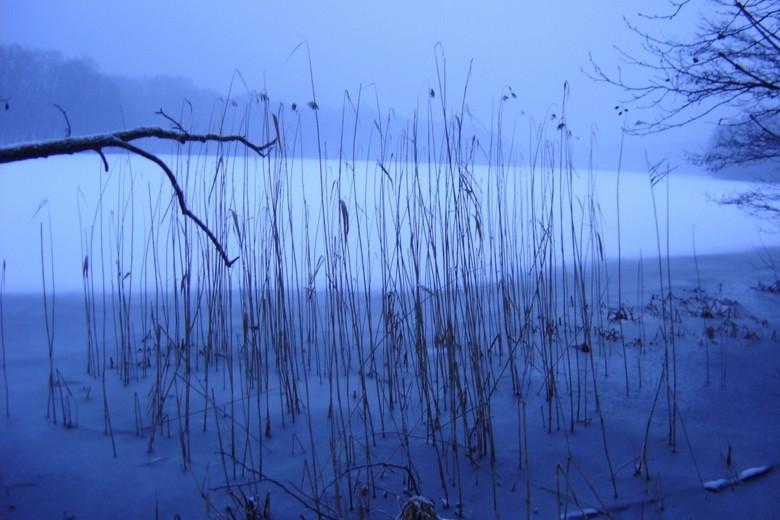 Kerstin Wüstenhöfer-Loges, Fotografie, “Wintersee 1“, 2006