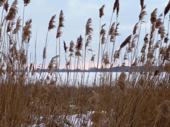Kerstin Wüstenhöfer-Loges, Fotografie, “Schneesee“, 2010