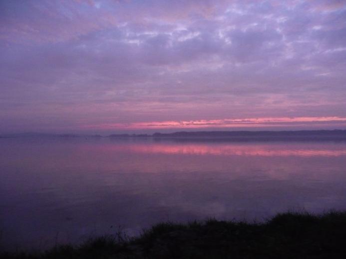 Kerstin Wüstenhöfer-Loges, Fotografie, “Violett“, 2011