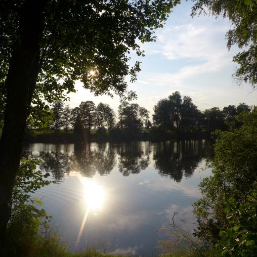 Kerstin Wüstenhöfer-Loges, Fotografie, “Rangsdorf“, 2016